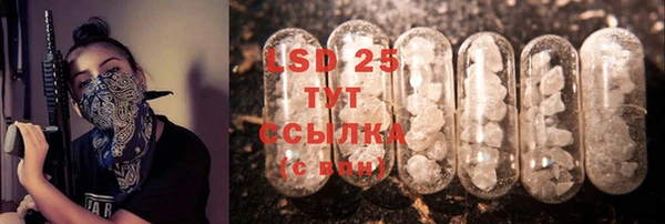 твердый Арсеньев
