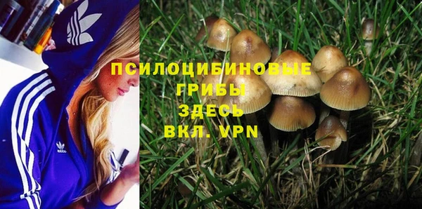 дурь Алексин