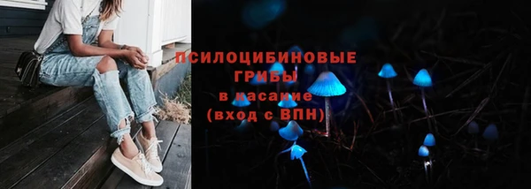 дурь Алексин