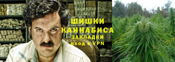 твердый Арсеньев