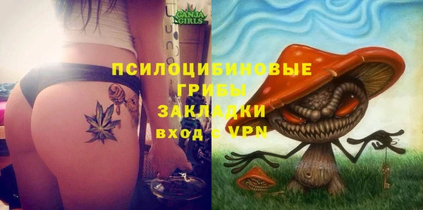 дурь Алексин