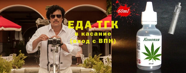 твердый Арсеньев